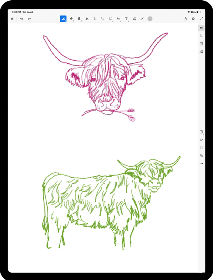 An animated gif of the drawing timelapse from Procreate.